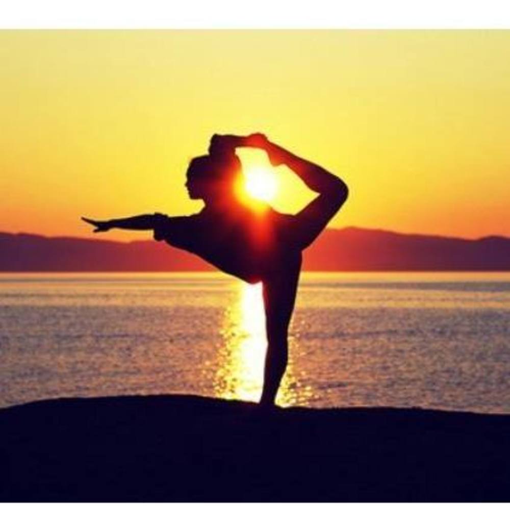 Meet your Posher, Shirley